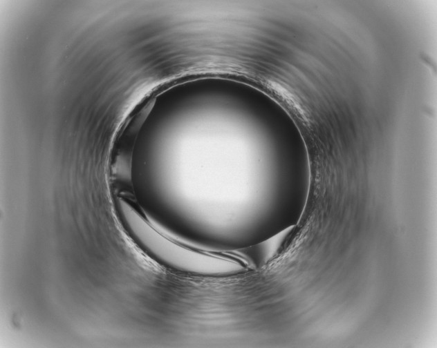 X0000095550942200712281603