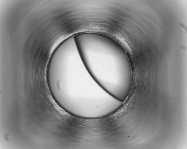 X0000095550944200712281603