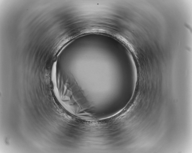 X0000095550945200712281603