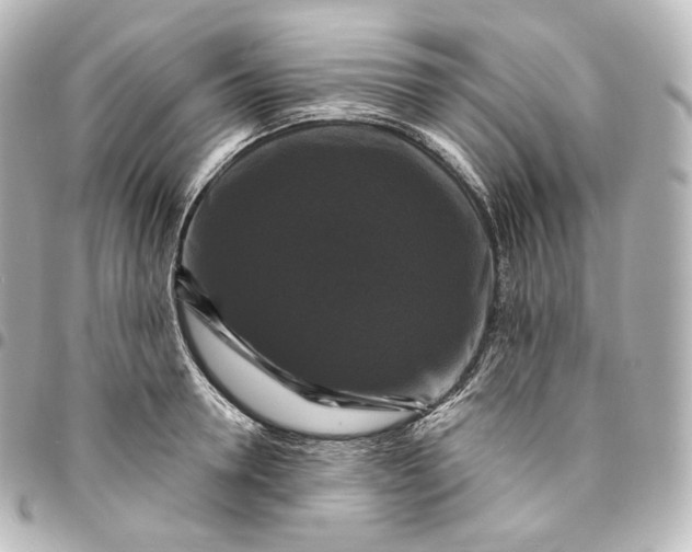 X0000095550946200712281603