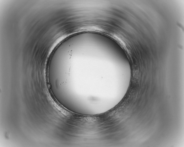 X0000095550947200712281603