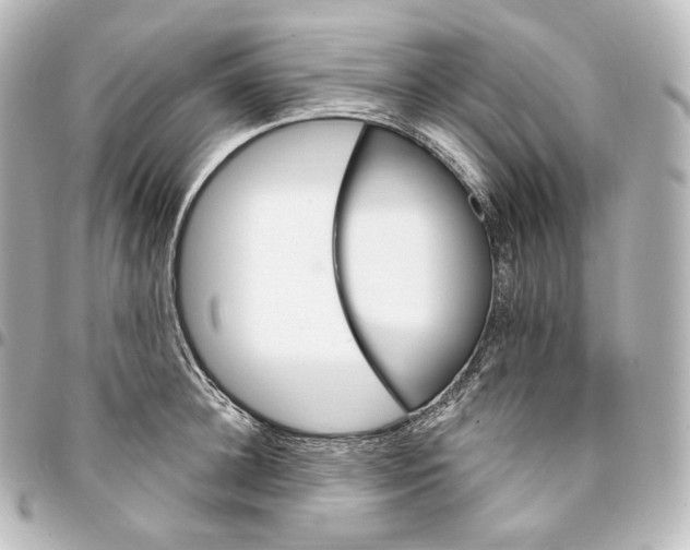 X0000095550948200712281603