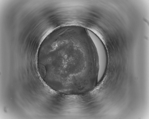 X0000095550949200712281603