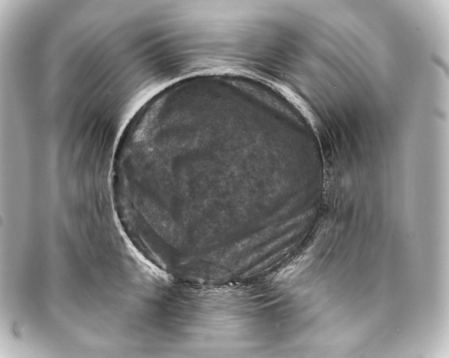 X0000095550951200712281603