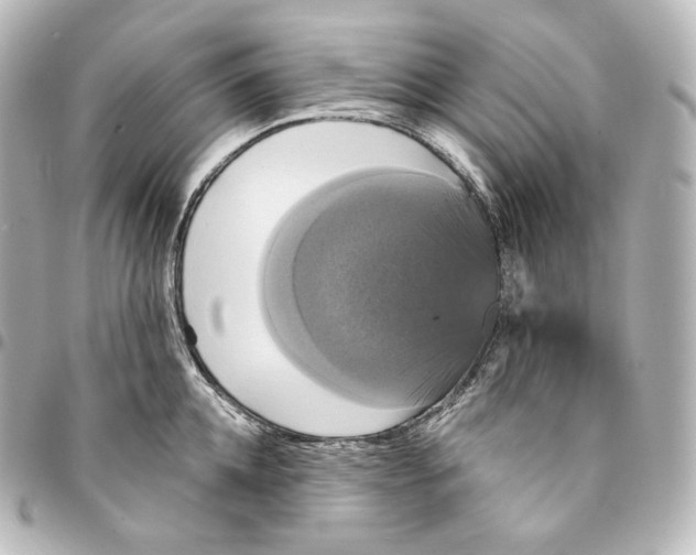 X0000095550952200712281603