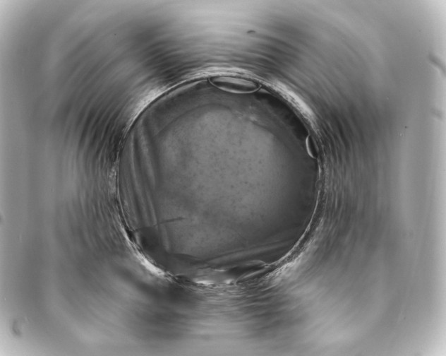 X0000095550953200712281603