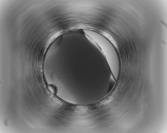 X0000095550954200712281603