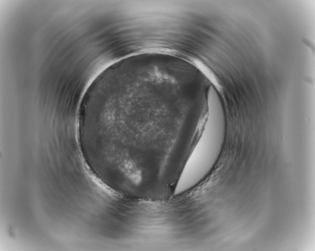 X0000095550955200712281603