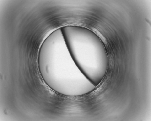 X0000095550956200712281603