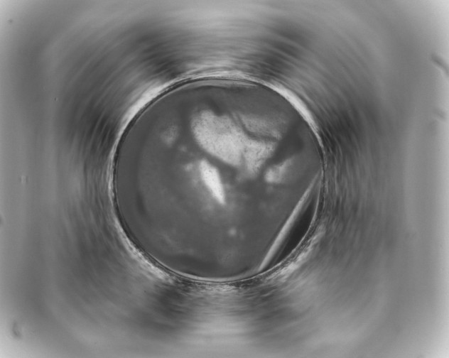 X0000095550957200712281603