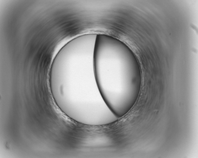 X0000095550960200712281603