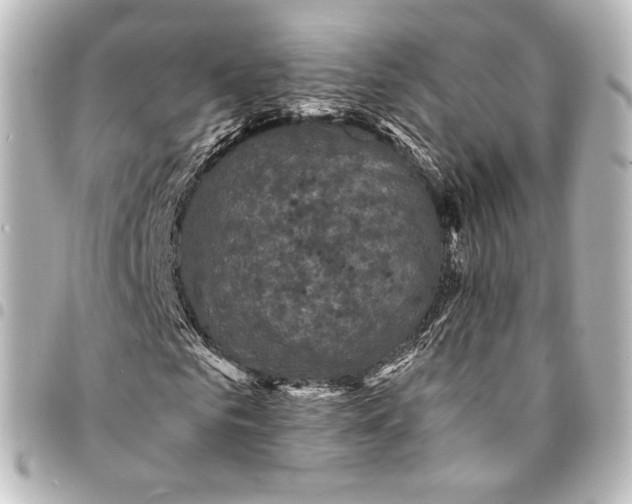 X0000095550961200712281603