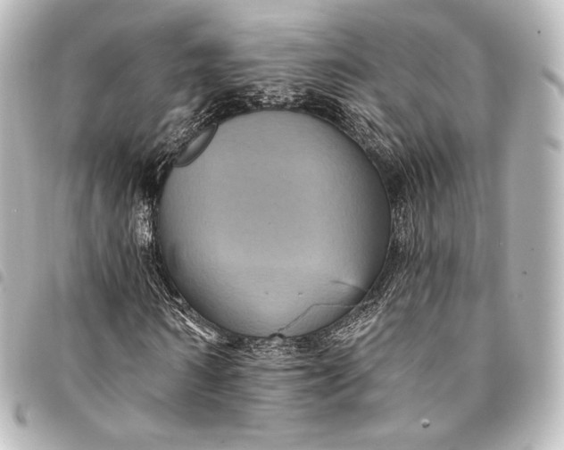 X0000095550962200712281603