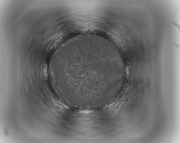 X0000095550963200712281603