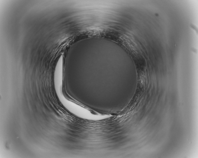 X0000095550964200712281603