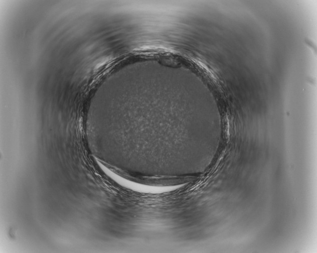 X0000095550965200712281603