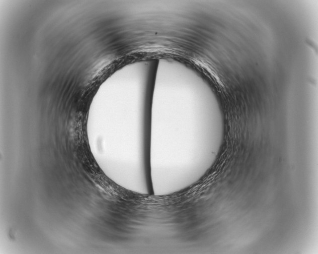 X0000095550968200712281602