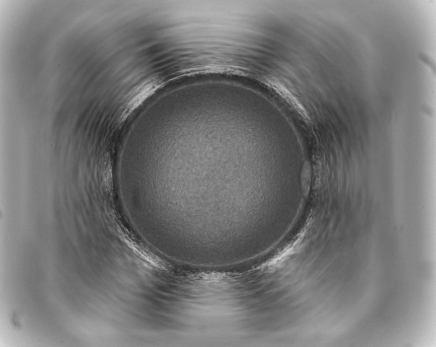 X0000095550969200712281602