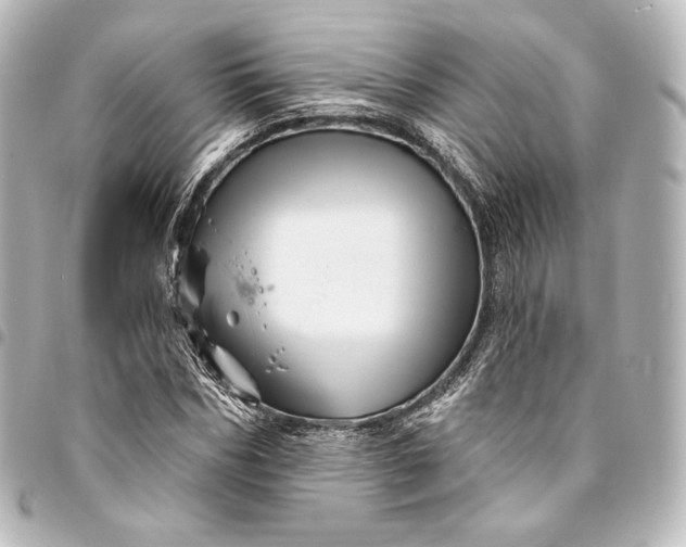 X0000095550970200712281602