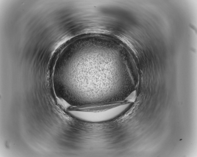 X0000095550971200712281602