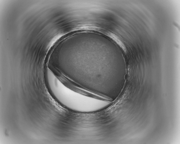 X0000095550972200712281602