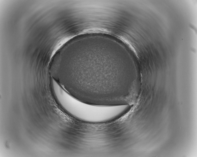 X0000095550973200712281602