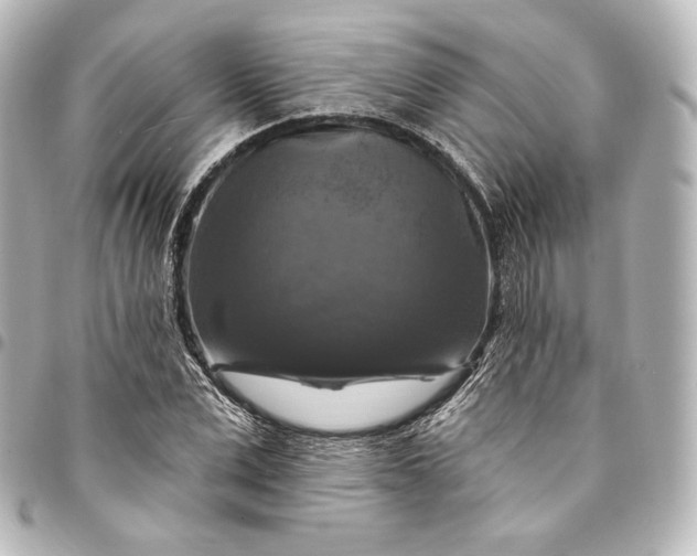 X0000095550975200712281602