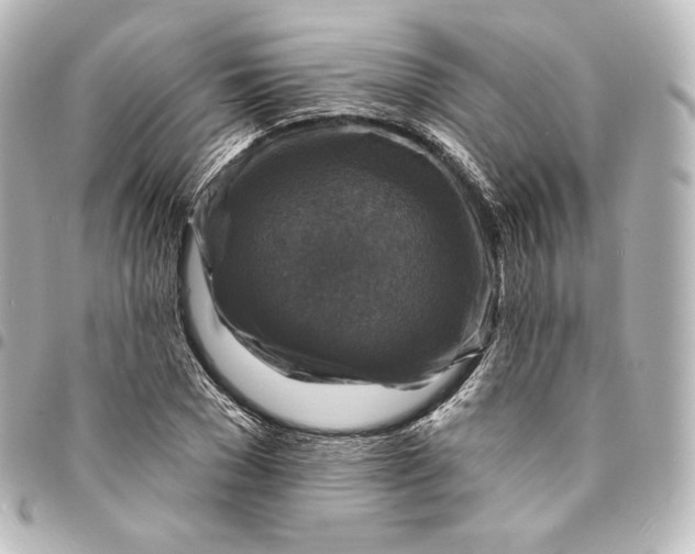 X0000095550977200712281602