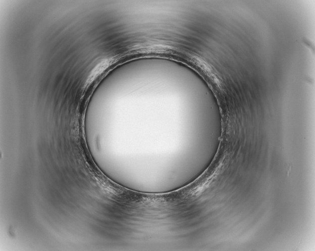 X0000095550978200712281602