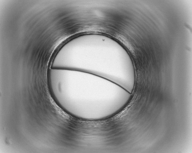 X0000095550980200712281602