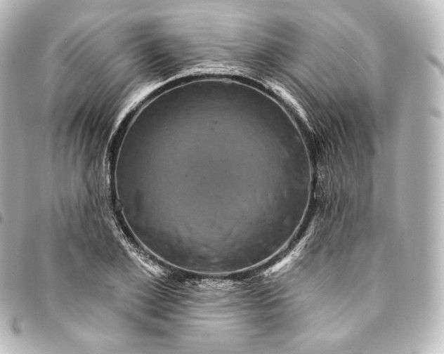 X0000095550981200712281602