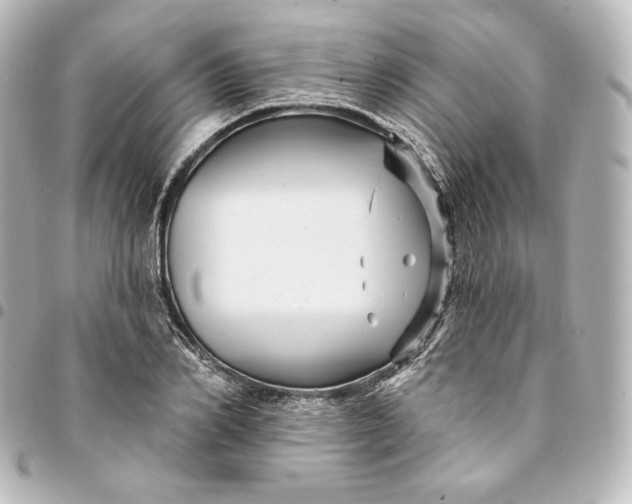 X0000095550982200712281602