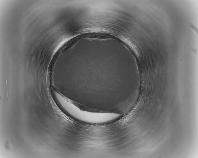 X0000095550983200712281602