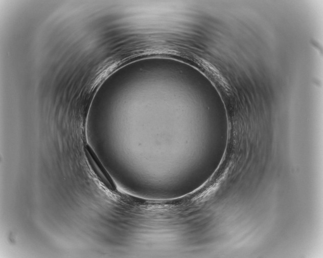 X0000095550985200712281602