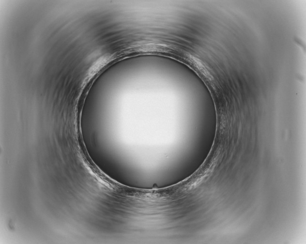 X0000095550986200712281602