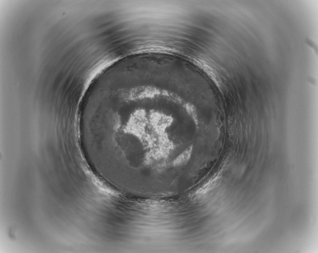 X0000095550987200712281602