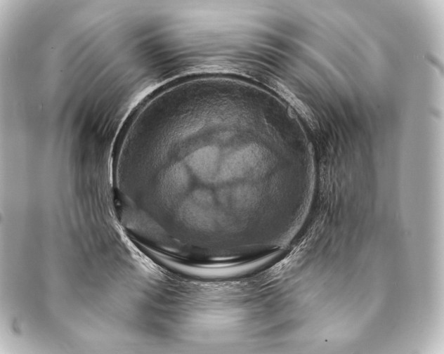 X0000095550988200712281602