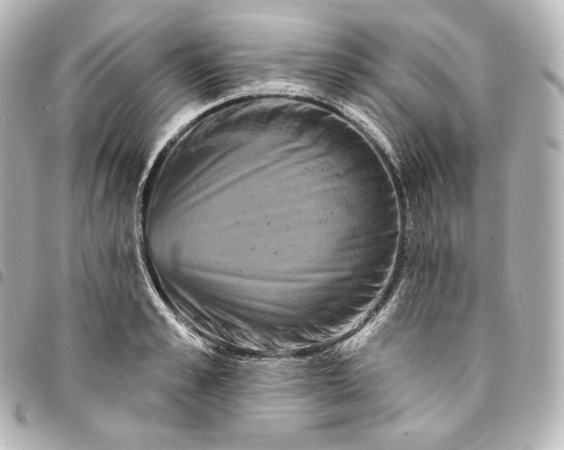 X0000095550989200712281602