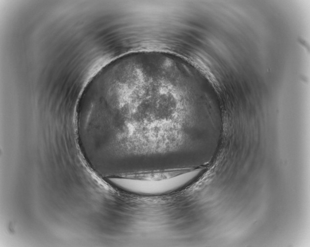 X0000095550990200712281602