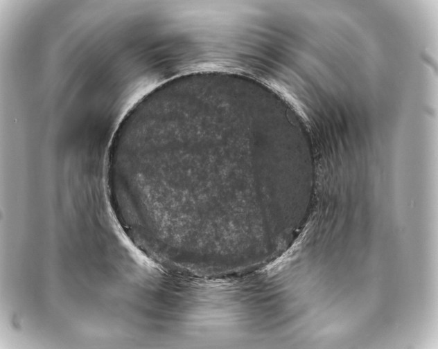 X0000095550991200712281602