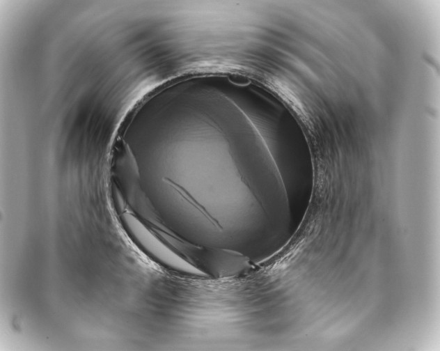 X0000095550992200712281602