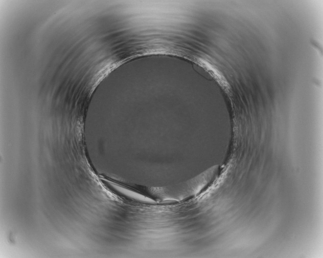 X0000095550993200712281602