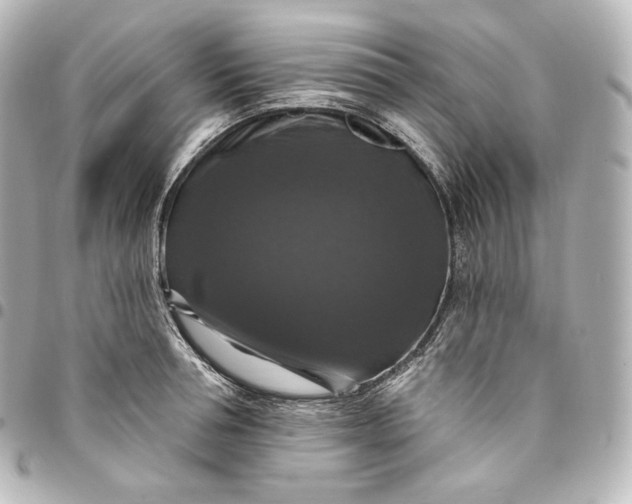 X0000095550994200712281602