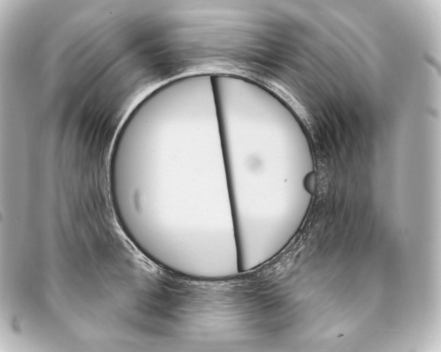 X0000095550996200712281602