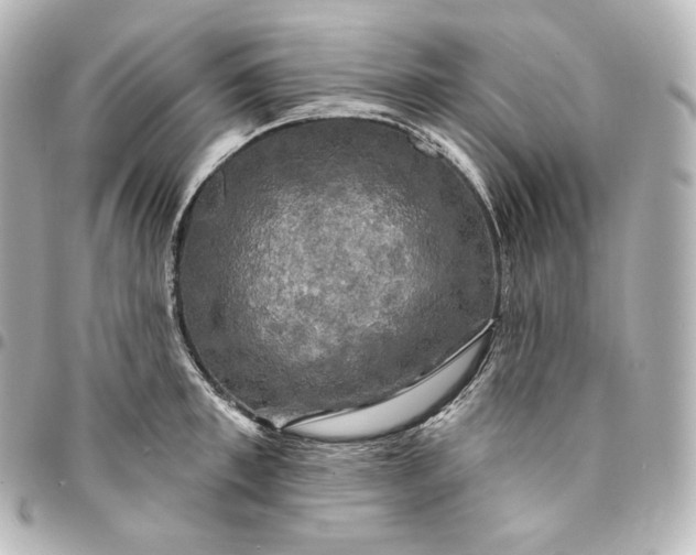 X0000095550997200712281602