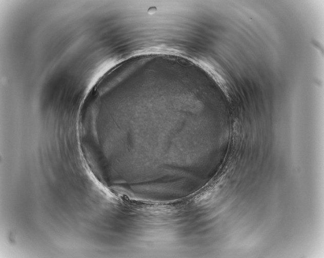 X0000095550998200712281602