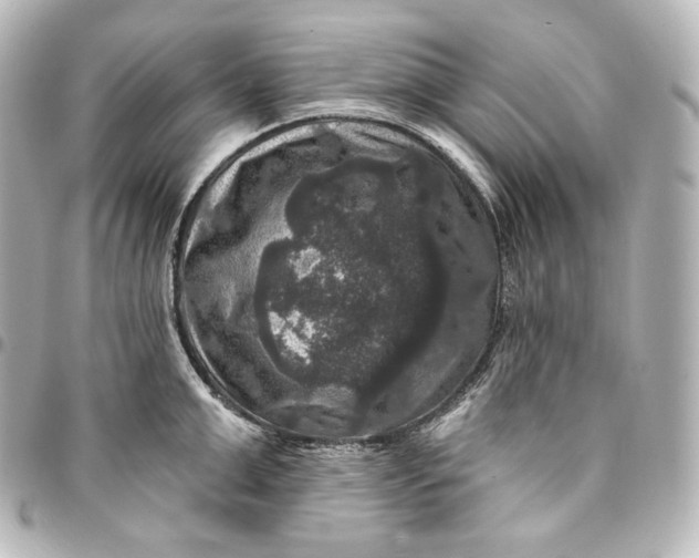 X0000095550999200712281602