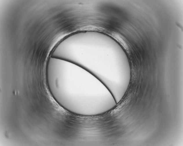 X0000095551000200712281602