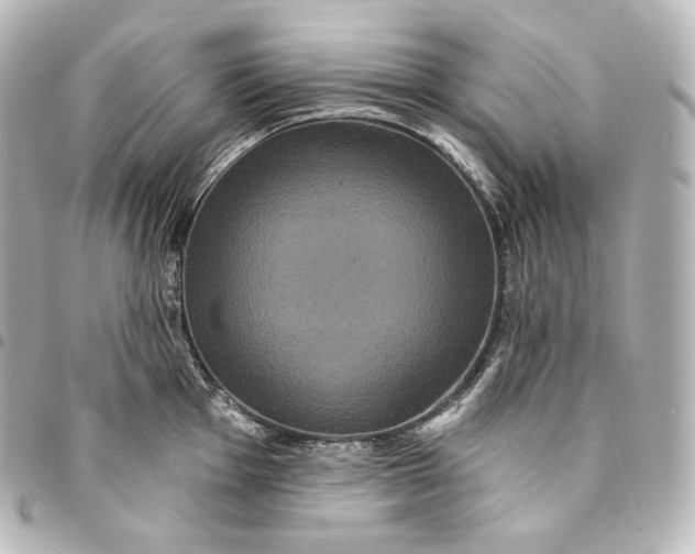 X0000095551001200712281602