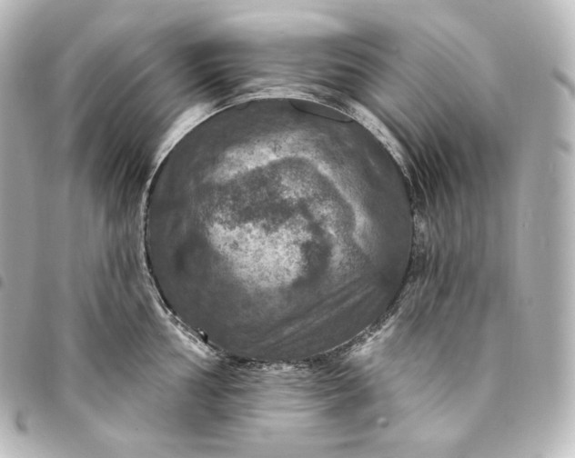 X0000095551002200712281602